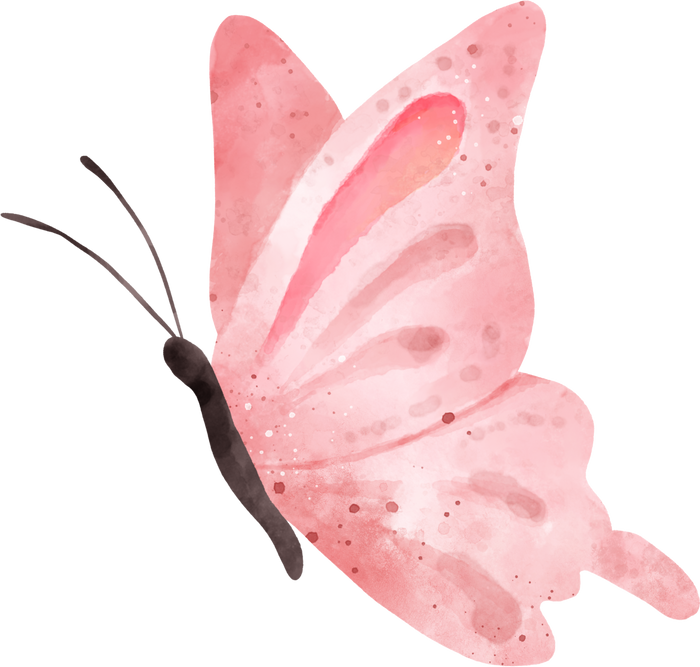 Watercolor Pink Butterfly Illustration